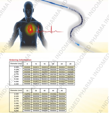 Everolimus Eluting Coronary Stent System
